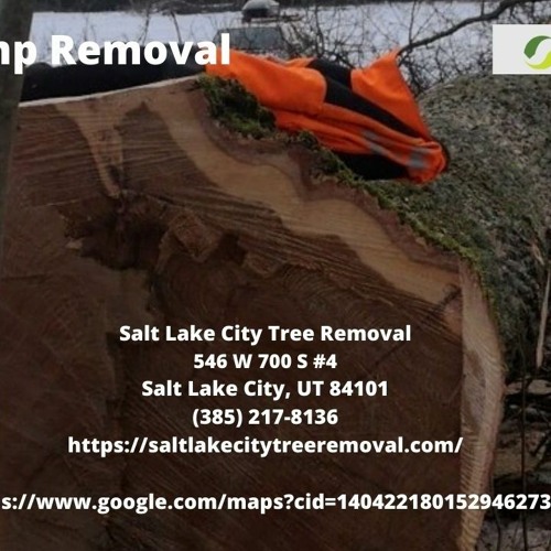 ภาพปกอัลบั้มเพลง Professional Stump Removal - Salt Lake City Tree Removal