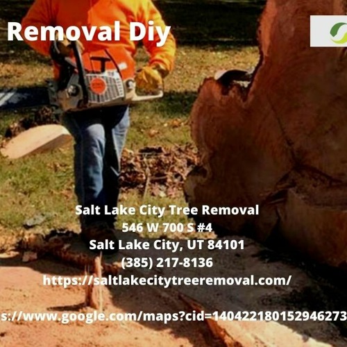 ภาพปกอัลบั้มเพลง Stump Removal Diy - Salt Lake City Tree Removal
