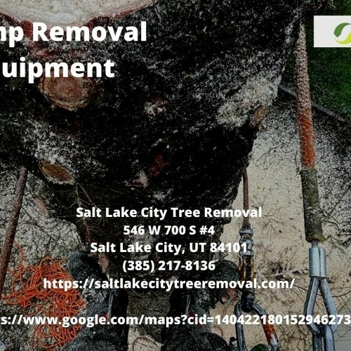 ภาพปกอัลบั้มเพลง Stump Removal Equipment - Salt Lake City Tree Removal