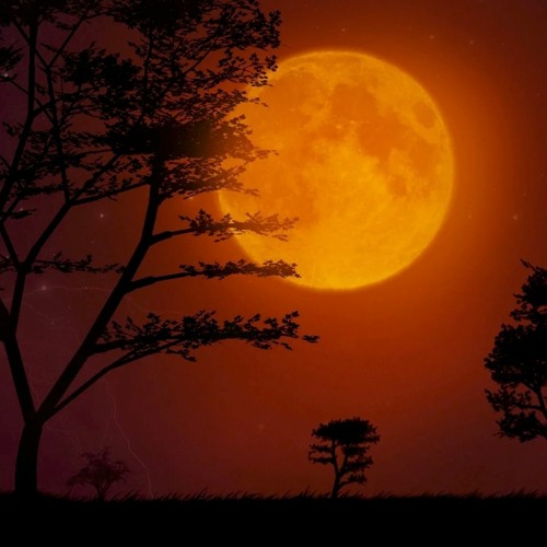 ภาพปกอัลบั้มเพลง Orange Moon - Piano Songs (Relaxing magical calming)