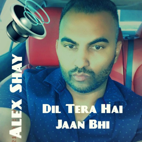 ภาพปกอัลบั้มเพลง Dil Tera Hai Jaan Bhi