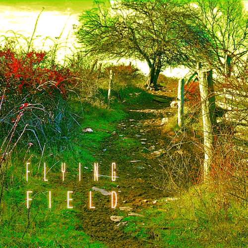 ภาพปกอัลบั้มเพลง Green Fields