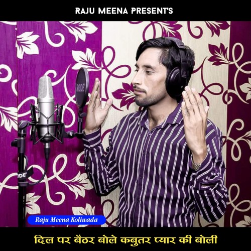 ภาพปกอัลบั้มเพลง Dil P Bethar Bole Kabootar Pyar Ki Boli (Raju Meena Geet)