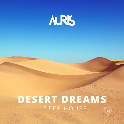 ภาพปกอัลบั้มเพลง AURIS Desert Dreams Desert Tech Mix 8G