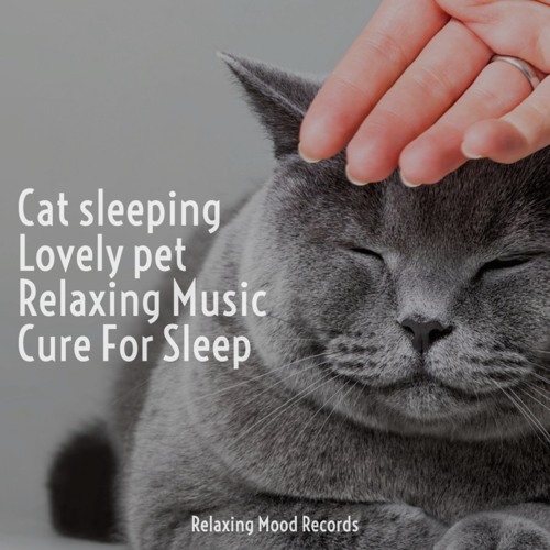ภาพปกอัลบั้มเพลง Cat Sleeping Lovely Pet Relaxing Music Love Cure for Sleep