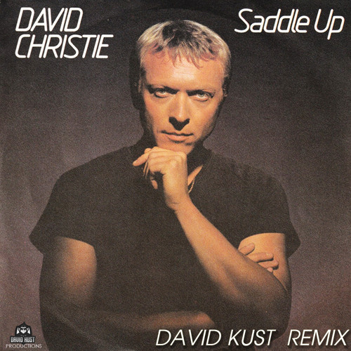 ภาพปกอัลบั้มเพลง David Christie - Saddle Up (David Kust Radio Remix)