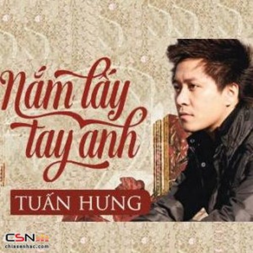 ภาพปกอัลบั้มเพลง Nam Lay Tay Anh - Tuan Hung Lossless