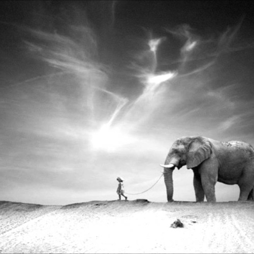 ภาพปกอัลบั้มเพลง Ten Walls Feat. Paul Kalkbrenner - Walking With Elephants In Sky And Sand (D-Lan Mashup)