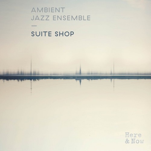ภาพปกอัลบั้มเพลง Ambient Jazz Ensemble - The Journey (Leftside Wobble Remix) available now via Bandcamp