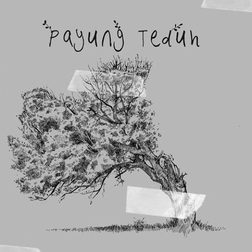 ภาพปกอัลบั้มเพลง Payung teduh - Tidurlah (cover)
