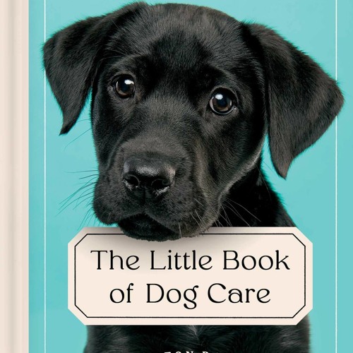 ภาพปกอัลบั้มเพลง Ebook ⚡ The Little Book of Dog Care Expert Advice on Giving Your Dog Their Best Life pdf