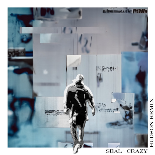ภาพปกอัลบั้มเพลง SEAL - CRAZY (Hudson Remix)