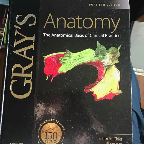 ภาพปกอัลบั้มเพลง PDF DOWNLOAD Gray's Anatomy The Anatomical Basis of Clinical Practice 150 Anniversary