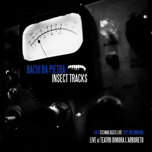 ภาพปกอัลบั้มเพลง Per la scala del solaio (Insect Tracks - Live 2009)