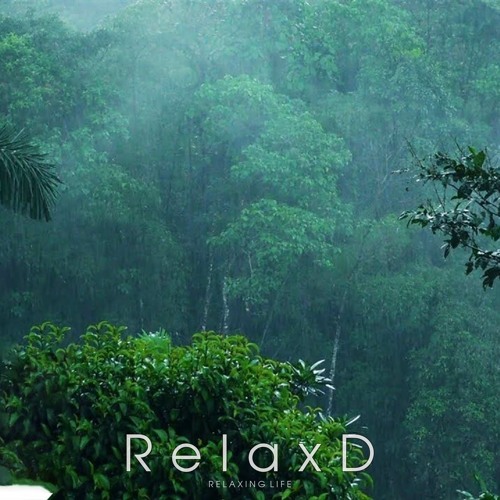 ภาพปกอัลบั้มเพลง Relaxing Music & Soft Rain Sleep Music Calm Piano Music Healing Music Peaceful Music
