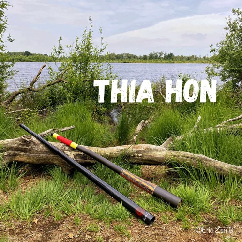 ภาพปกอัลบั้มเพลง Thia Hon two