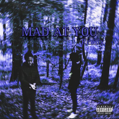ภาพปกอัลบั้มเพลง Mad At You (Remix)