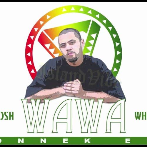 ภาพปกอัลบั้มเพลง Josh WaWa White - Down For Ya Partner