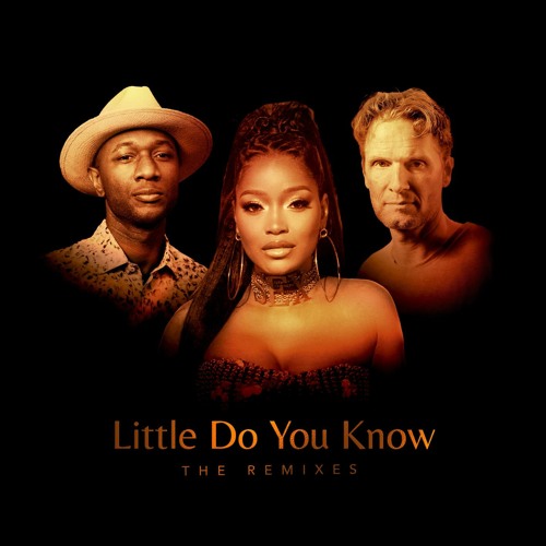 ภาพปกอัลบั้มเพลง Little Do You Know (Chicago Mix) feat. Keke Palmer & Aloe Blacc