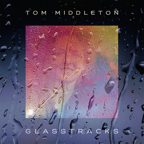 ภาพปกอัลบั้มเพลง Tom Middleton - Sea of Glass (Blu Mar Ten Remix)