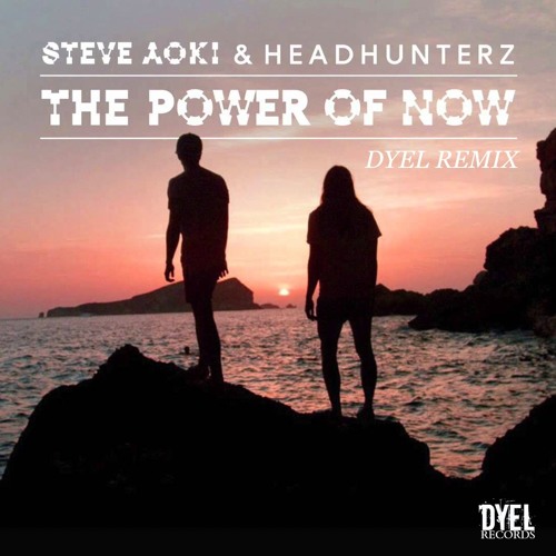 ภาพปกอัลบั้มเพลง Steve Aoki & Headhunterz - The Power Of Now (DYEL Remix)