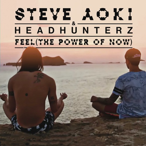 ภาพปกอัลบั้มเพลง Steve Aoki & Headhunterz - Feel (The Power Of Now)
