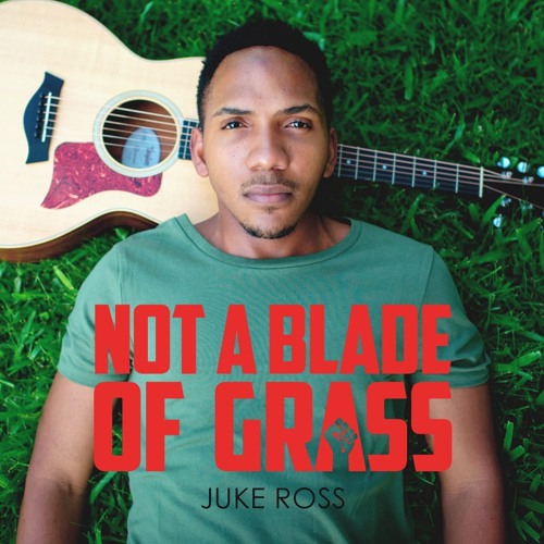 ภาพปกอัลบั้มเพลง Not A Blade Of Grass - Juke Ross