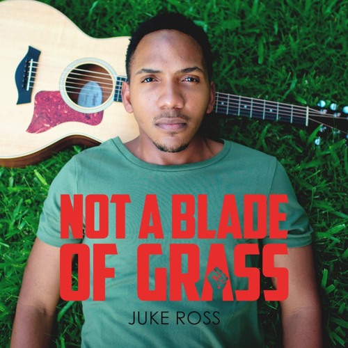 ภาพปกอัลบั้มเพลง Not A Blade Of Grass - Juke Ross (Acoustic)
