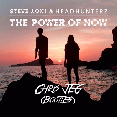 ภาพปกอัลบั้มเพลง Steve Aoki & Headhunterz - The Power of Now (Chris JEG Bootleg) FREE DOWNLOAD
