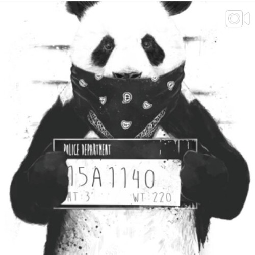 ภาพปกอัลบั้มเพลง Desiigner- Panda Official Audio (Rayv33zy) GMIX Prod. By Menace