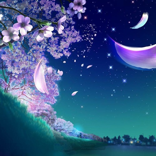 ภาพปกอัลบั้มเพลง Moon light Magic & Cherry blossoms (Alohomora remix)