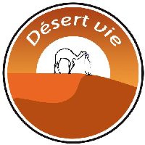 ภาพปกอัลบั้มเพลง Marrakech Desert Tours To Erg Chigaga - DESERT VIE