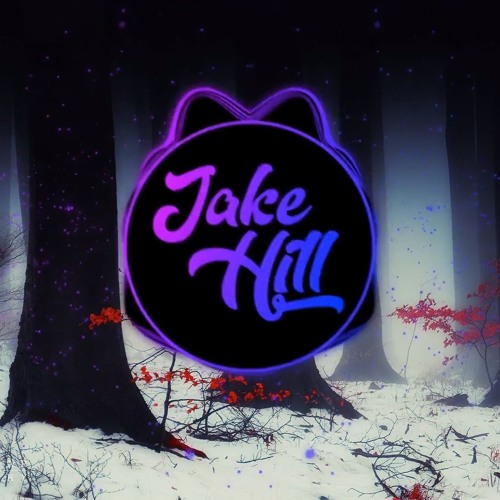 ภาพปกอัลบั้มเพลง Jake Hill & Josh A - Suicide Forest