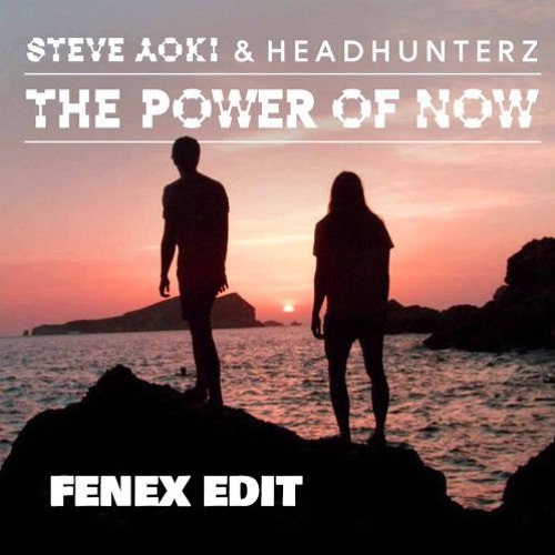 ภาพปกอัลบั้มเพลง Steve Aoki & HeadHunterz - The Power Of Now (Fenex Edit)
