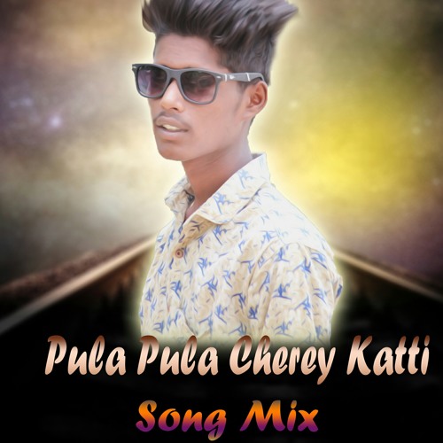 ภาพปกอัลบั้มเพลง PULA PULA CHIRA KATTI SONG HYDRABADHI STYLE REMIX BY DJ NARESH SONU ND DJ KANNY ROCKZZ