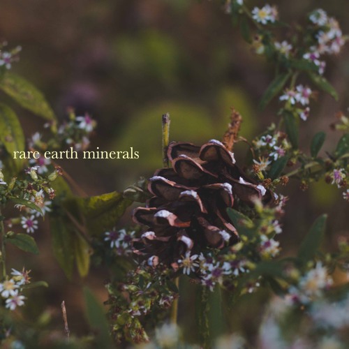 ภาพปกอัลบั้มเพลง rare earth minerals