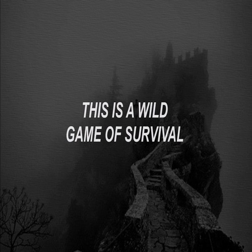 ภาพปกอัลบั้มเพลง Ruelle - Game Of Survival (EthanF's Killa Trophy Hunter Mix)