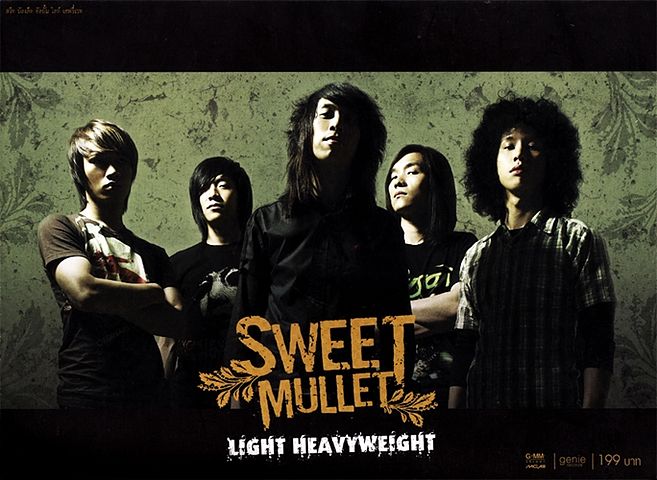 ภาพปกอัลบั้มเพลง 6abbe5a4 04-Sweet Mullet - เพลงของคนโง่