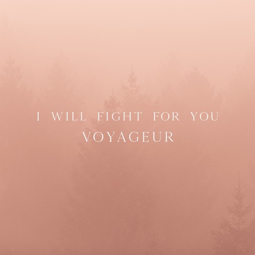 ภาพปกอัลบั้มเพลง I Will Fight For You