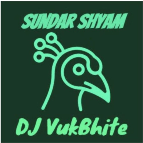 Sundar Shyam (ft. Lil' Hawk And nealtheseal108)