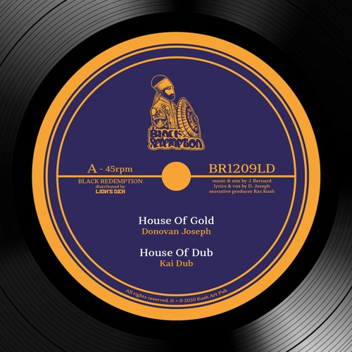 ภาพปกอัลบั้มเพลง Donovan Joseph & Kai Dub - House Of Gold House Of Dub