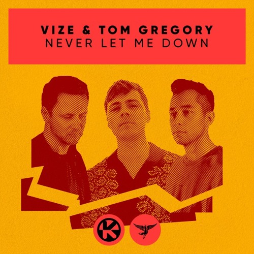 ภาพปกอัลบั้มเพลง VIZE & Tom Gregory - Never Let Me Down