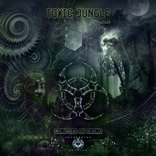 ภาพปกอัลบั้มเพลง 08. Phyllorum - Hindu Vibrations (193 BPM) VA Toxic Jungle Vol.2 - Metacortex Records