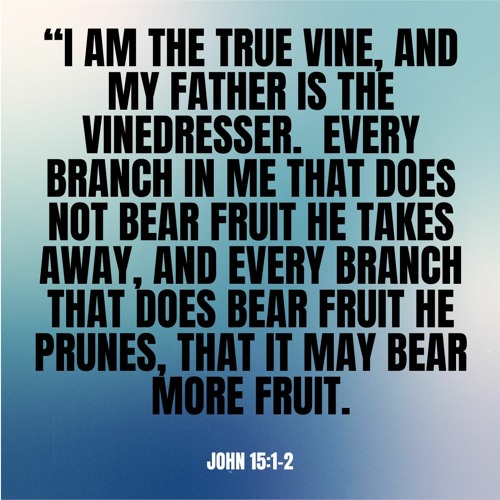 ภาพปกอัลบั้มเพลง John 15 1-8 I AM The True Vine