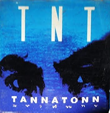 ภาพปกอัลบั้มเพลง ร่ำลา - TNT