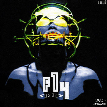 ภาพปกอัลบั้มเพลง Fly - 12 ปีก -03- เกลียด
