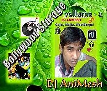 ภาพปกอัลบั้มเพลง Baho Mein Botol (Electro Mix) DJ AniMesh